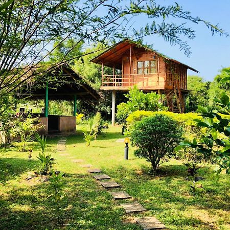 Sungreen Cottage Sigiriya Exteriör bild