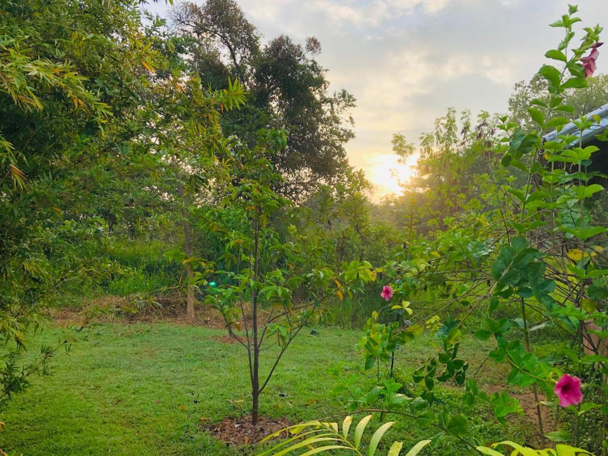 Sungreen Cottage Sigiriya Exteriör bild