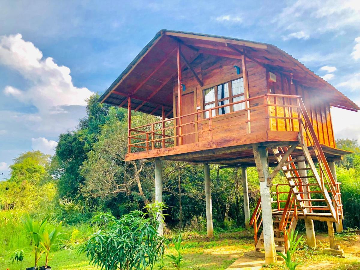 Sungreen Cottage Sigiriya Exteriör bild