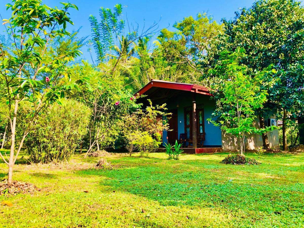 Sungreen Cottage Sigiriya Exteriör bild