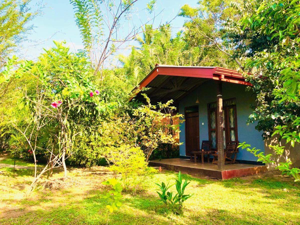 Sungreen Cottage Sigiriya Exteriör bild