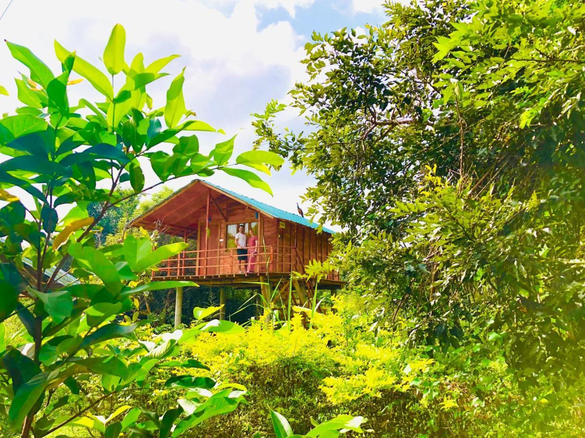 Sungreen Cottage Sigiriya Exteriör bild