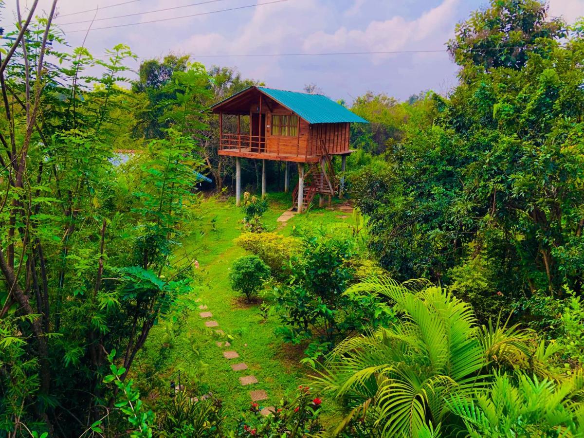 Sungreen Cottage Sigiriya Exteriör bild