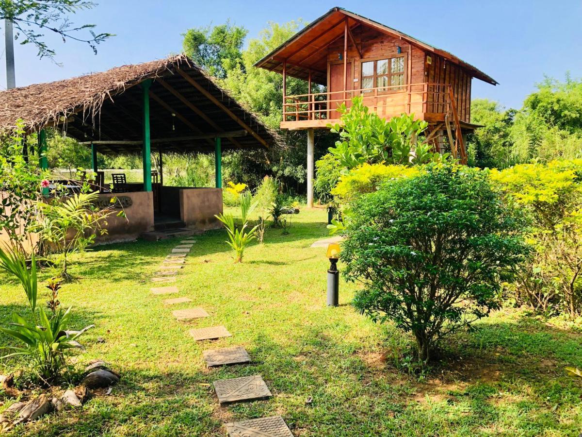 Sungreen Cottage Sigiriya Exteriör bild