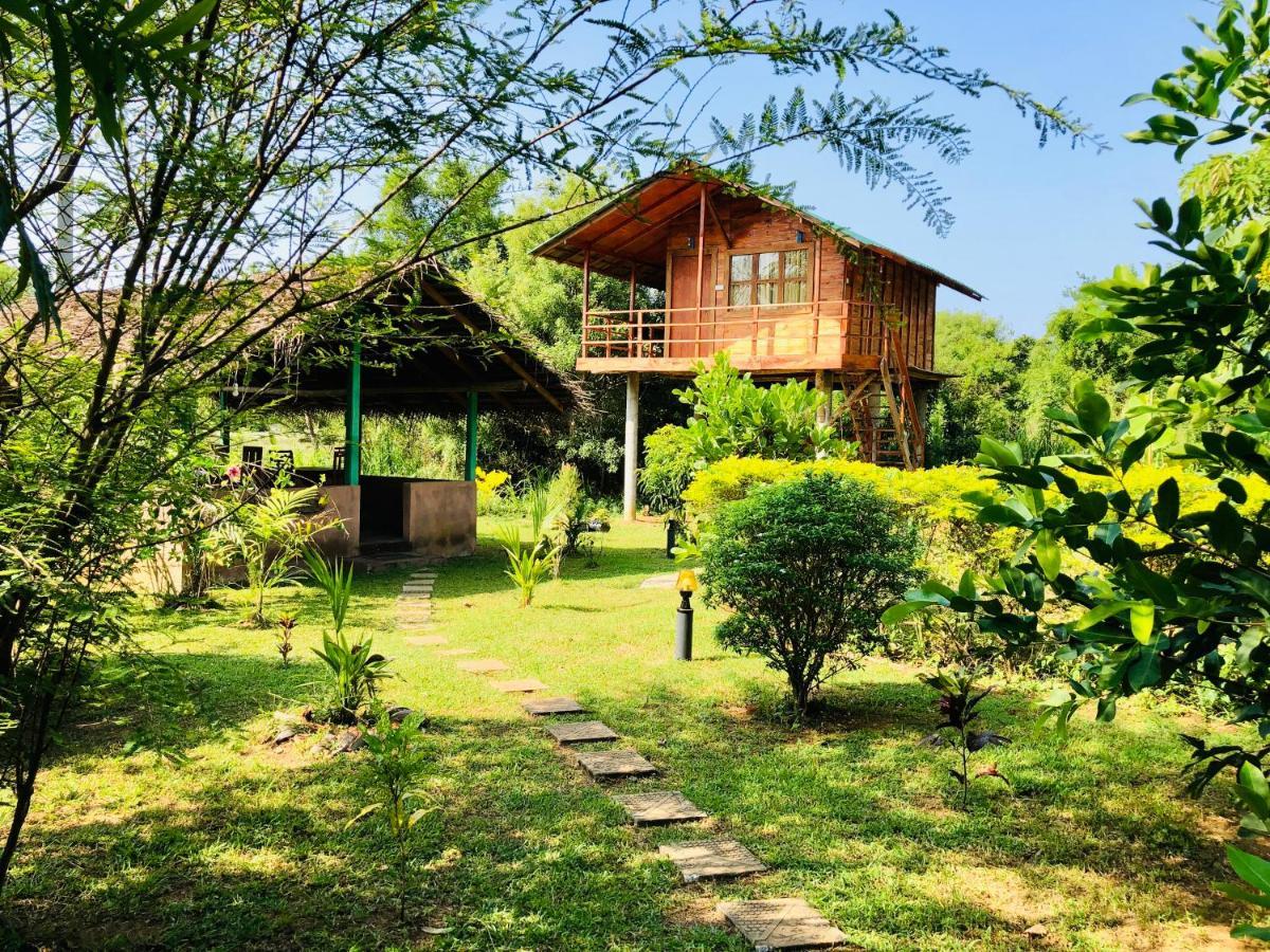 Sungreen Cottage Sigiriya Exteriör bild